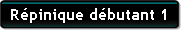 Repinique débutant 1