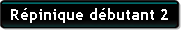 Repinique débutant 2