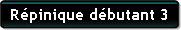 Repinique débutant 3